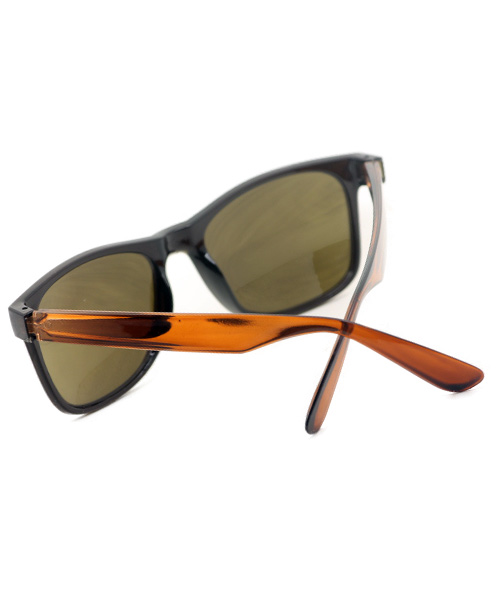 Brown transparent unisex wayfarer sunglasses.