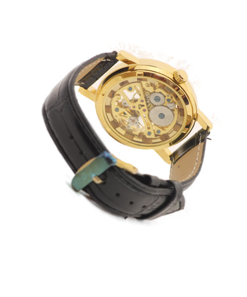 Winner Mens Mechanical Wrist Watch Gold Case